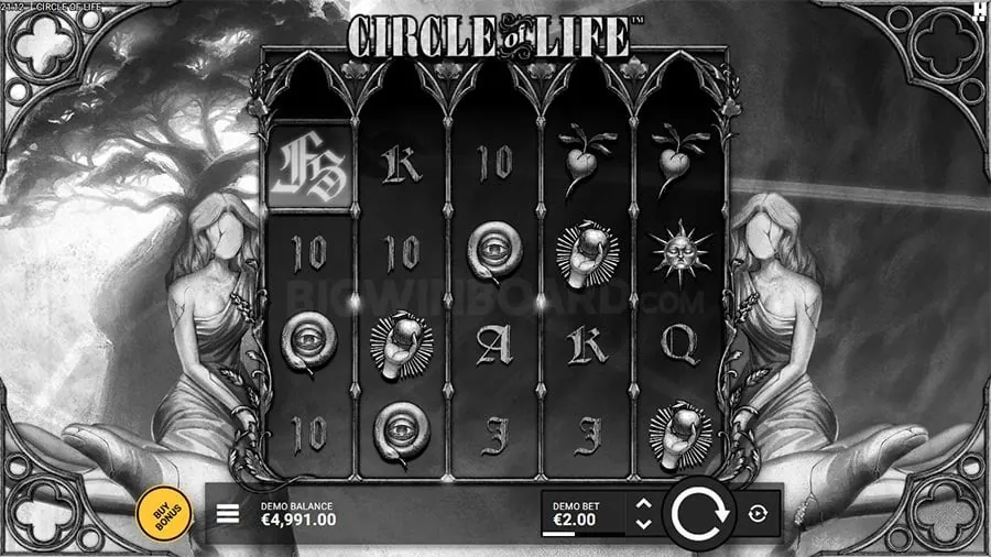 Live Casino Experience Guide
